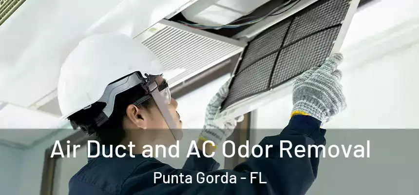 Air Duct and AC Odor Removal Punta Gorda - FL