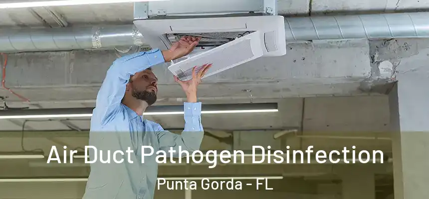 Air Duct Pathogen Disinfection Punta Gorda - FL