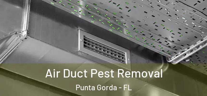 Air Duct Pest Removal Punta Gorda - FL