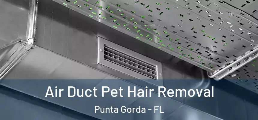 Air Duct Pet Hair Removal Punta Gorda - FL