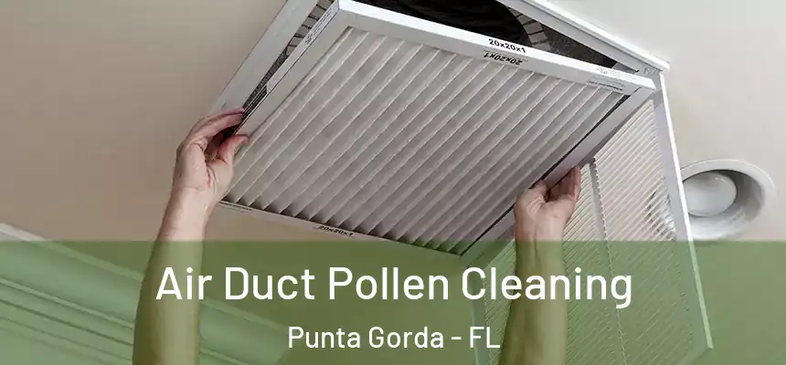 Air Duct Pollen Cleaning Punta Gorda - FL