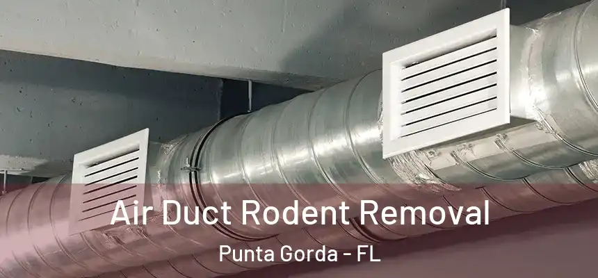 Air Duct Rodent Removal Punta Gorda - FL