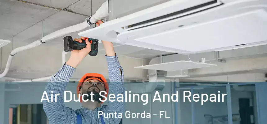 Air Duct Sealing And Repair Punta Gorda - FL