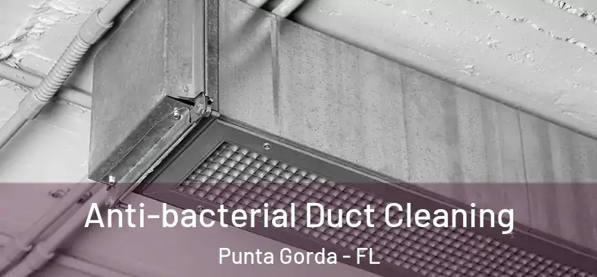 Anti-bacterial Duct Cleaning Punta Gorda - FL