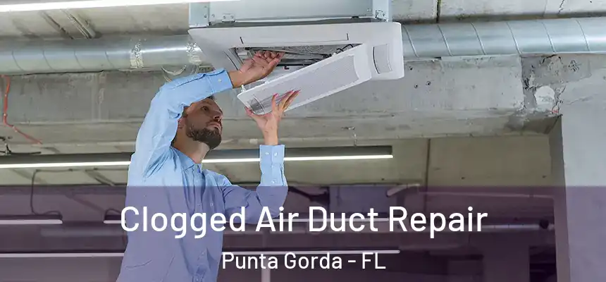 Clogged Air Duct Repair Punta Gorda - FL