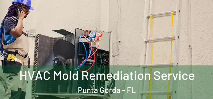 HVAC Mold Remediation Service Punta Gorda - FL