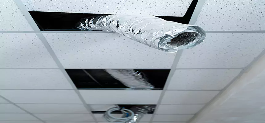 Affordable HVAC Sanitizing After Pest Removal in Punta Gorda