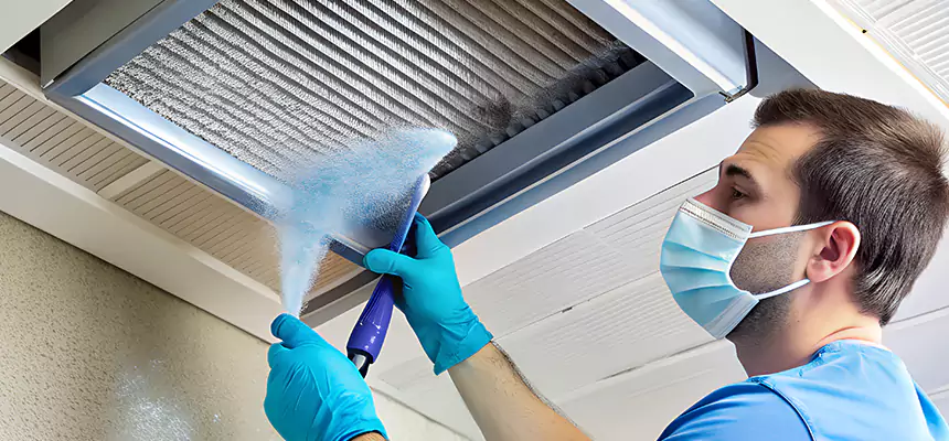 Proactive Dryer Vent & Auxiliary Duct Pollen Cleanup in Punta Gorda, FL