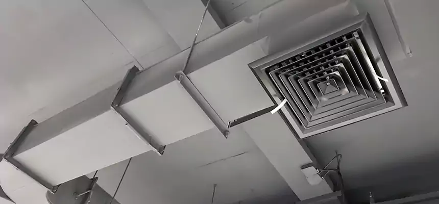 Restorative Allergy Relief Vent Cleaning – Coil, Blower & Housing Detail in Punta Gorda