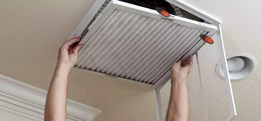 Our Insect Removal from Air Ducts Services in Punta Gorda, FL