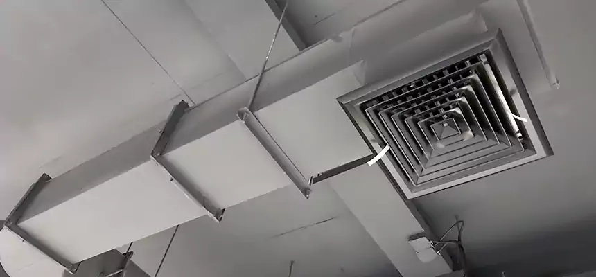 Our Pest Removal From Ducts Services in Punta Gorda, FL