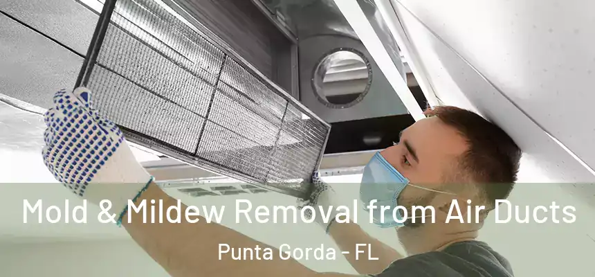 Mold & Mildew Removal from Air Ducts Punta Gorda - FL