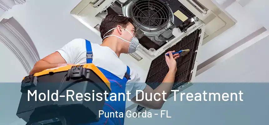 Mold-Resistant Duct Treatment Punta Gorda - FL
