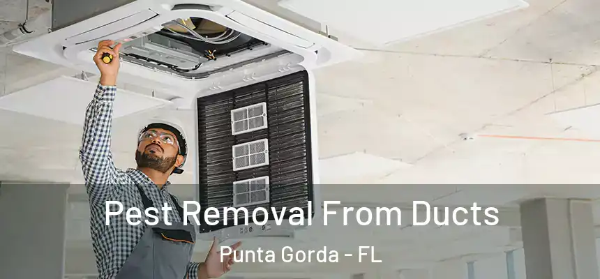 Pest Removal From Ducts Punta Gorda - FL