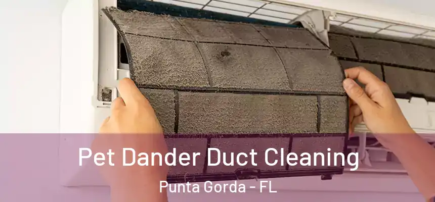 Pet Dander Duct Cleaning Punta Gorda - FL