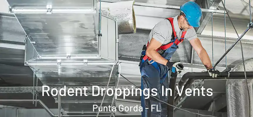 Rodent Droppings In Vents Punta Gorda - FL