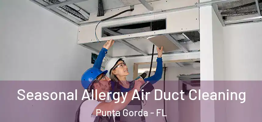 Seasonal Allergy Air Duct Cleaning Punta Gorda - FL