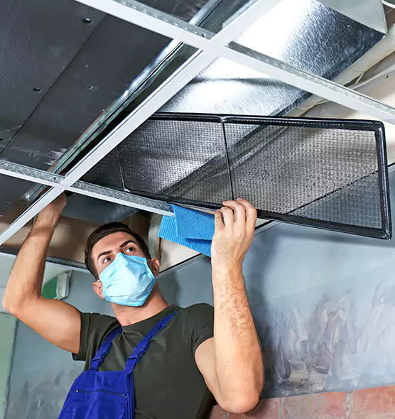 About Air Duct Bacteria Removal in Punta Gorda