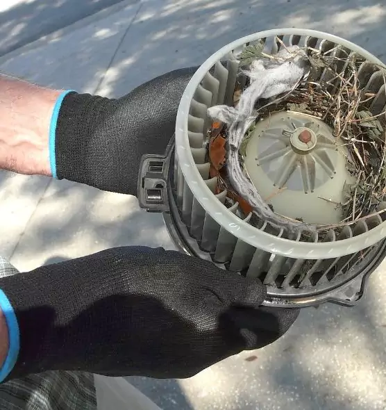 About Air Duct Mice Removal in Punta Gorda, FL