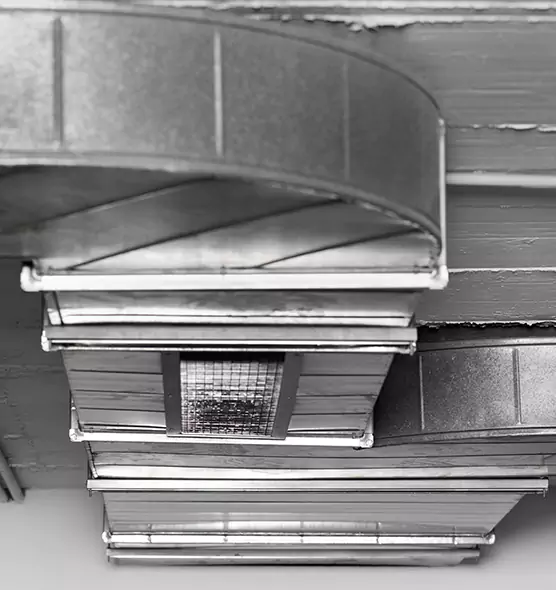 Professional Air Duct Pet Hair Removal in Punta Gorda, FL