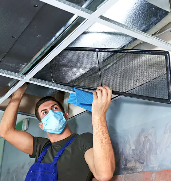 Professional Air Duct Pollen Cleaning in Punta Gorda, FL