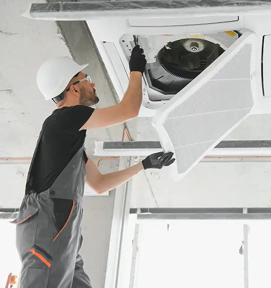 About Air Duct Rodent Removal in Punta Gorda, FL