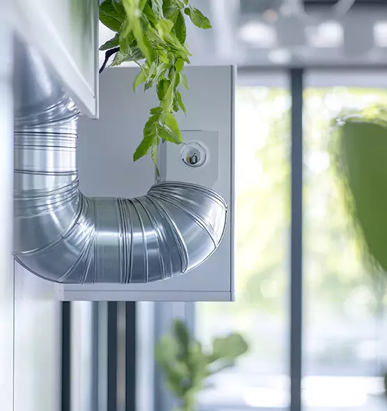 Professional Eco-Friendly Duct Cleaning Services in Punta Gorda, FL