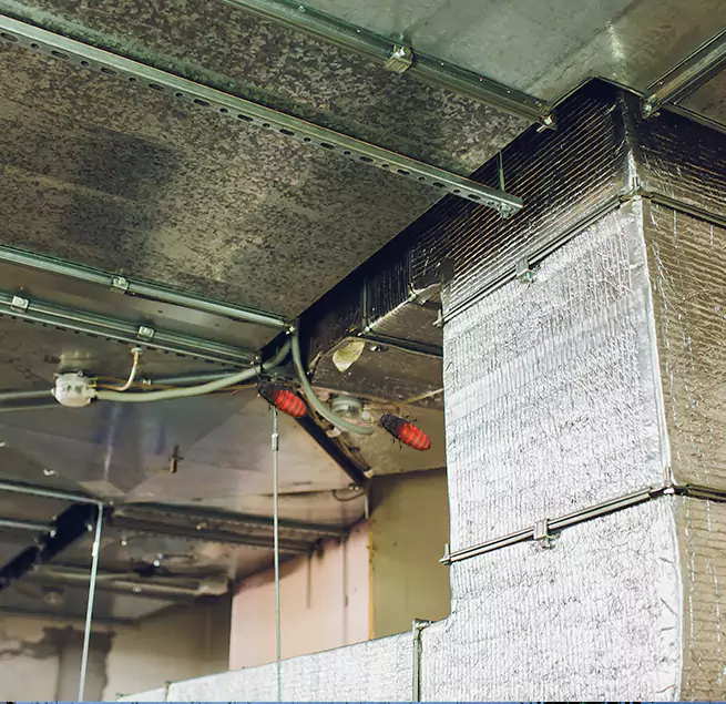 Why Homeowners & Businesses Trust Us in Punta Gorda, FL?