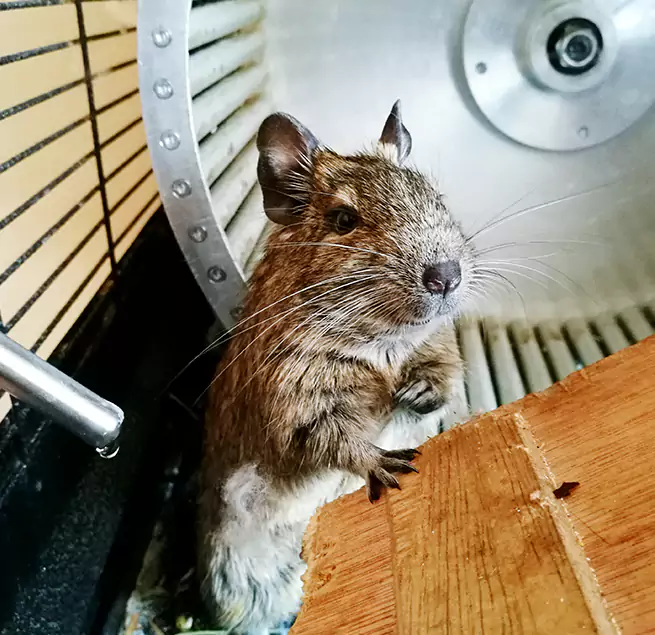 Why Homeowners & Businesses Trust Us Punta Gorda, FL