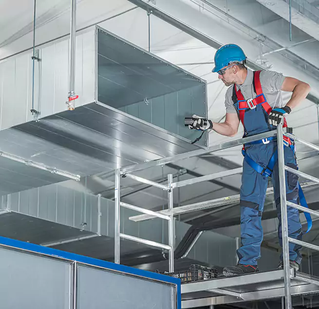 Why Homeowners & Businesses Trust Us in Punta Gorda, FL?