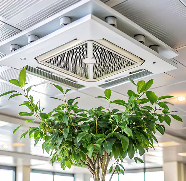 Why Homeowners & Businesses Trust Us in Punta Gorda, FL