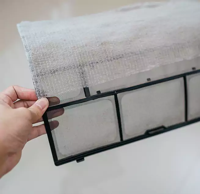 Why Homeowners & Businesses Trust Us in Punta Gorda, FL?