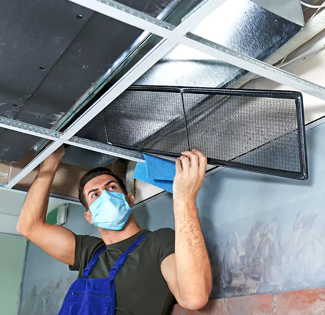 Why Homeowners & Businesses Trust Us in Punta Gorda, FL?