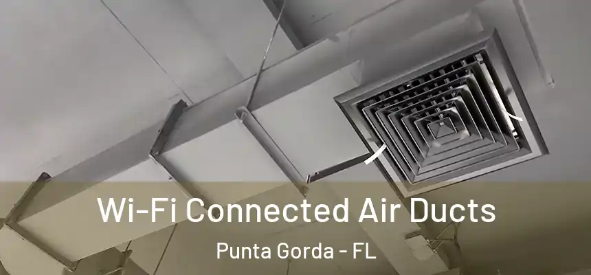 Wi-Fi Connected Air Ducts Punta Gorda - FL